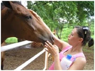 Amatierra Retreat And Wellness Center Hotel Bolson Esterno foto