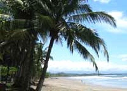 Amatierra Retreat And Wellness Center Hotel Bolson Esterno foto
